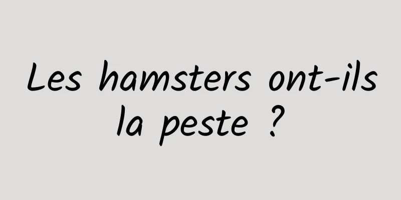 Les hamsters ont-ils la peste ? 