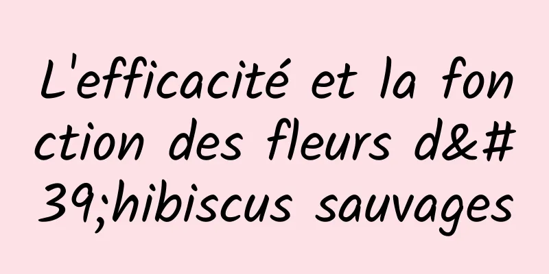 L'efficacité et la fonction des fleurs d'hibiscus sauvages