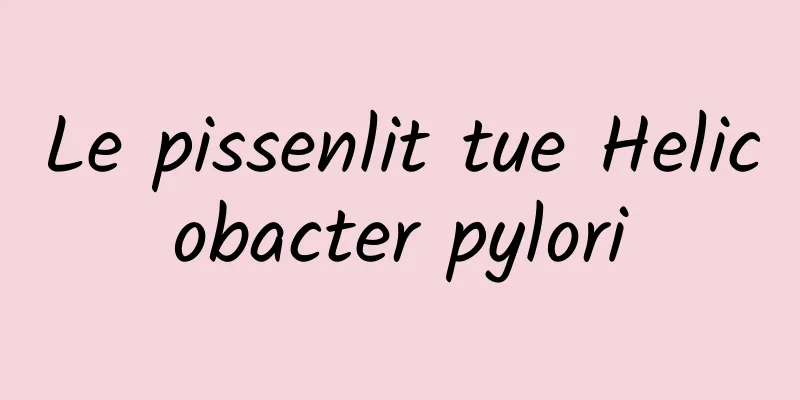 Le pissenlit tue Helicobacter pylori