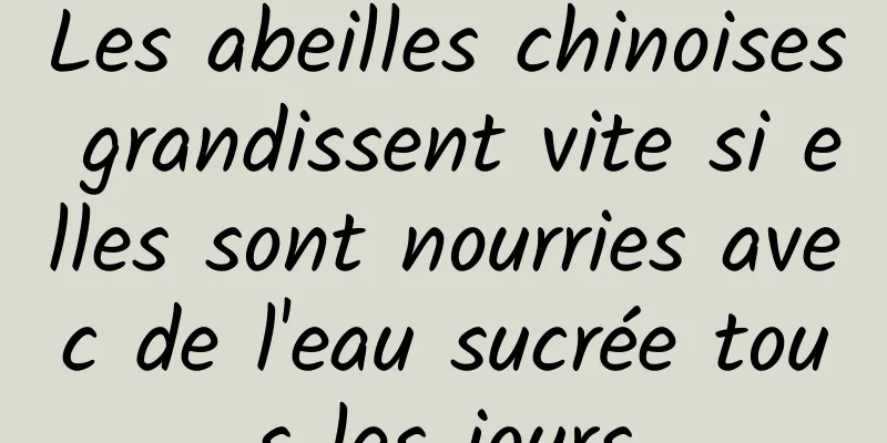 Les abeilles chinoises grandissent vite si elles sont nourries avec de l'eau sucrée tous les jours