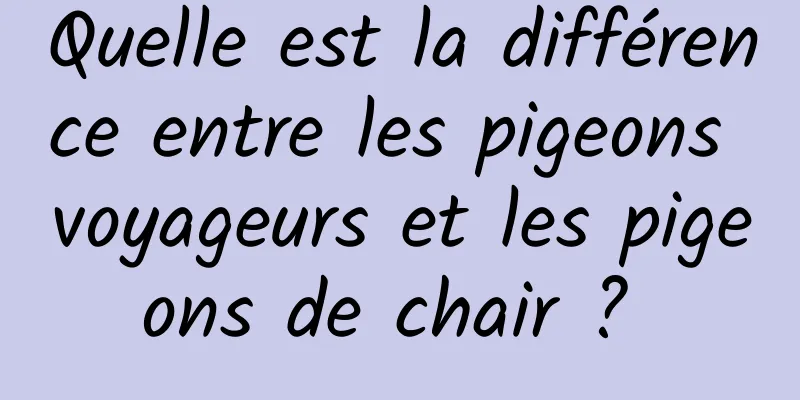 Quelle est la différence entre les pigeons voyageurs et les pigeons de chair ? 