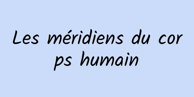 Les méridiens du corps humain