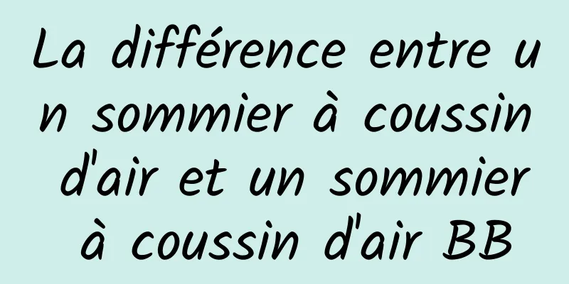 La différence entre un sommier à coussin d'air et un sommier à coussin d'air BB