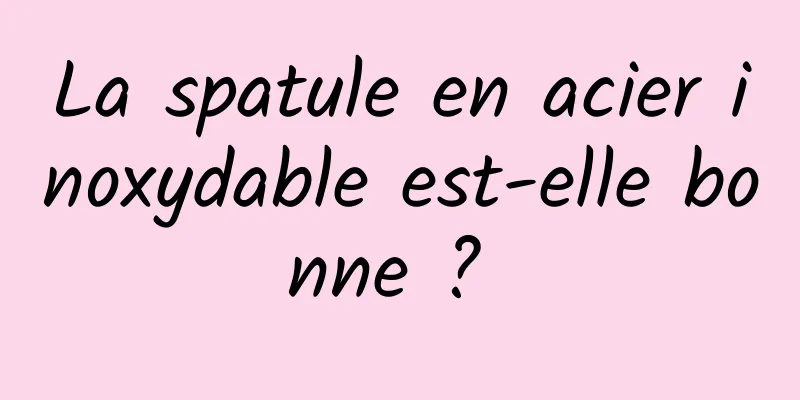 La spatule en acier inoxydable est-elle bonne ? 