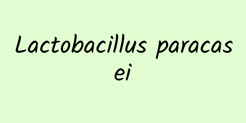 Lactobacillus paracasei