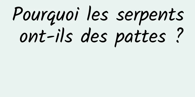 Pourquoi les serpents ont-ils des pattes ? 