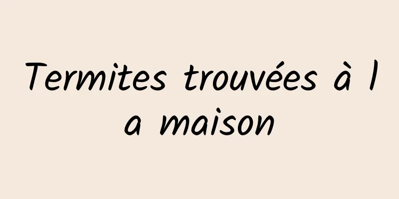 Termites trouvées à la maison