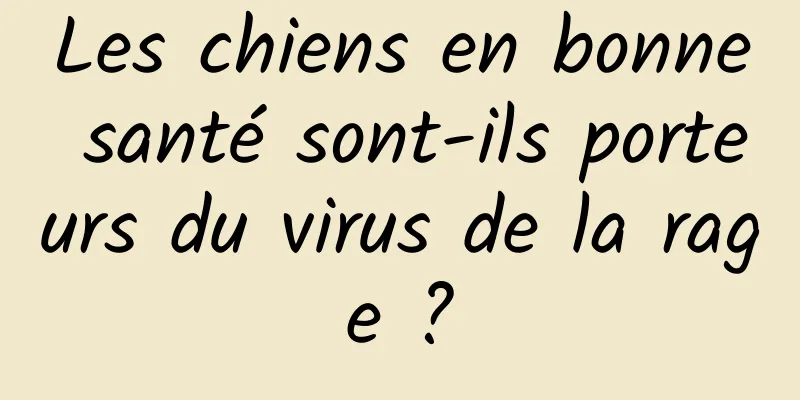 Les chiens en bonne santé sont-ils porteurs du virus de la rage ?