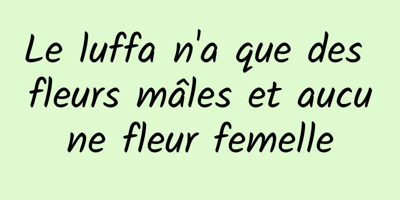 Le luffa n'a que des fleurs mâles et aucune fleur femelle