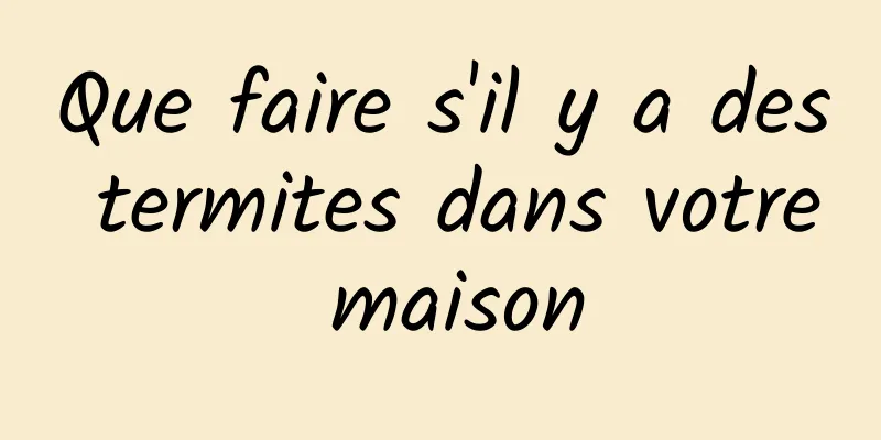 Que faire s'il y a des termites dans votre maison