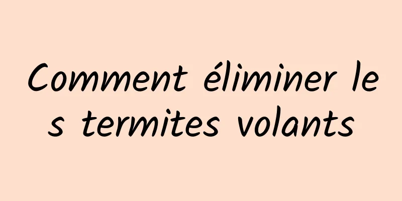 Comment éliminer les termites volants