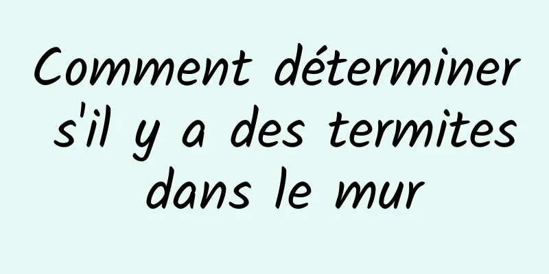 Comment déterminer s'il y a des termites dans le mur