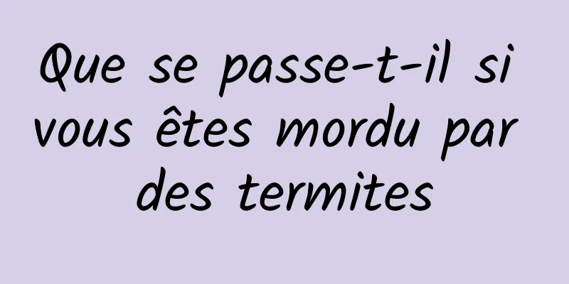 Que se passe-t-il si vous êtes mordu par des termites