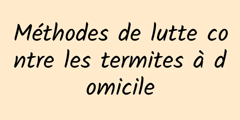 Méthodes de lutte contre les termites à domicile