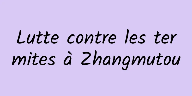 Lutte contre les termites à Zhangmutou