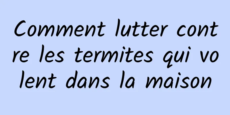 Comment lutter contre les termites qui volent dans la maison