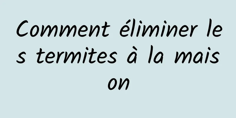 Comment éliminer les termites à la maison