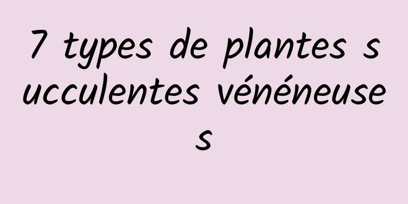 ​7 types de plantes succulentes vénéneuses