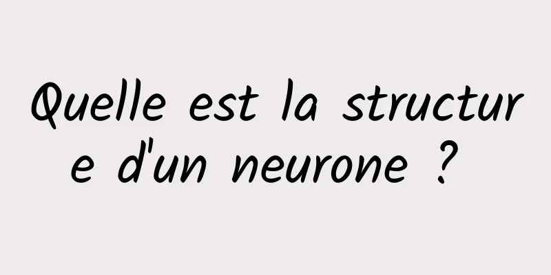 Quelle est la structure d'un neurone ? 