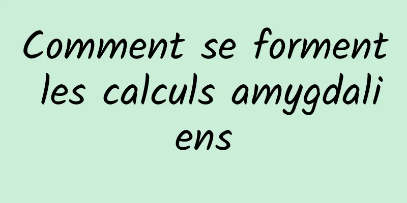 Comment se forment les calculs amygdaliens