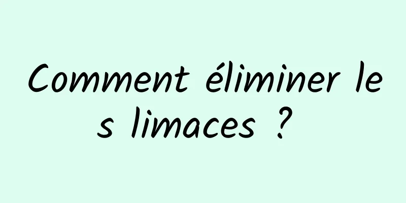 Comment éliminer les limaces ? 