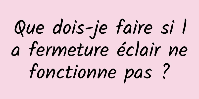 Que dois-je faire si la fermeture éclair ne fonctionne pas ? 