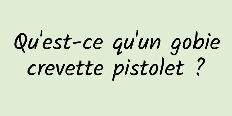 Qu'est-ce qu'un gobie crevette pistolet ? 