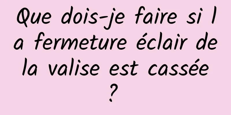 Que dois-je faire si la fermeture éclair de la valise est cassée ? 