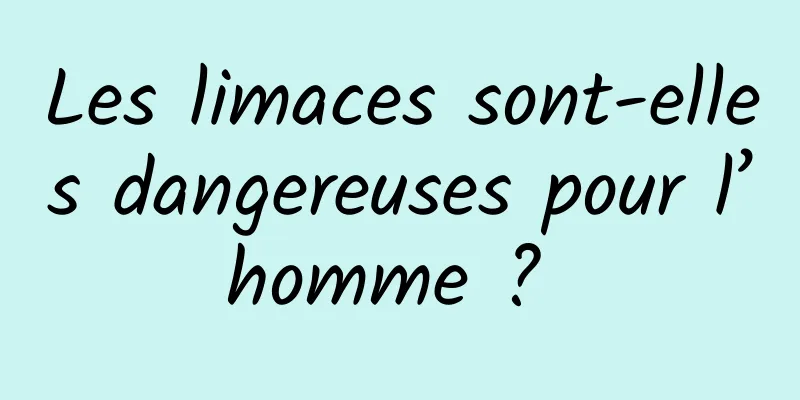 Les limaces sont-elles dangereuses pour l’homme ? 