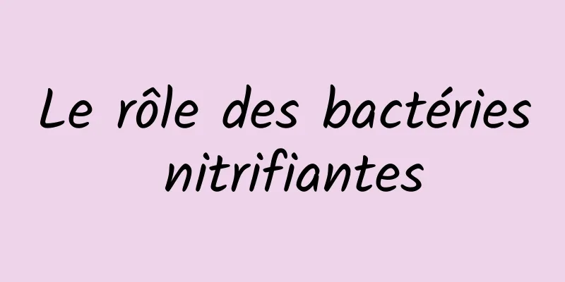 Le rôle des bactéries nitrifiantes