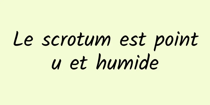 Le scrotum est pointu et humide