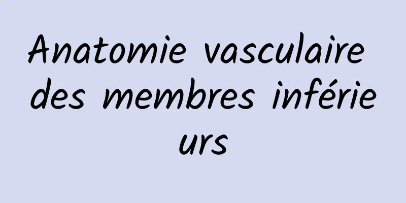 Anatomie vasculaire des membres inférieurs