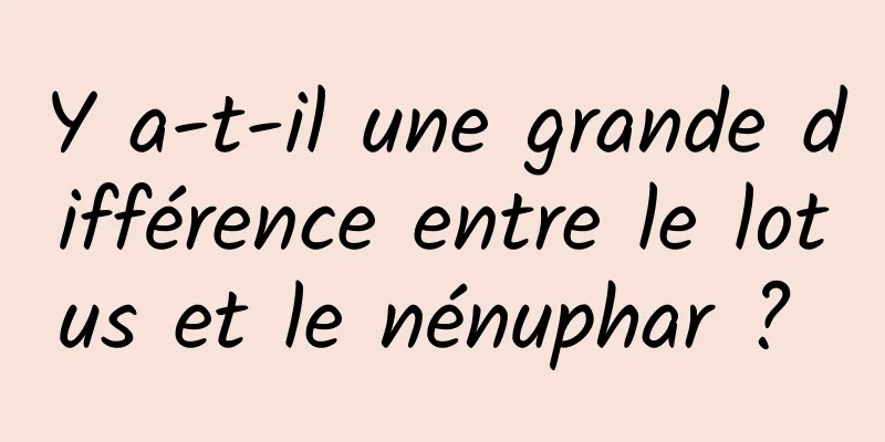 Y a-t-il une grande différence entre le lotus et le nénuphar ? 