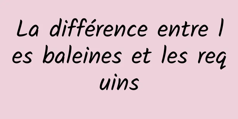 La différence entre les baleines et les requins