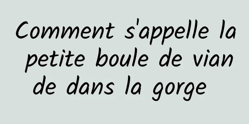 Comment s'appelle la petite boule de viande dans la gorge 