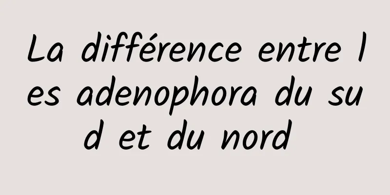 La différence entre les adenophora du sud et du nord 