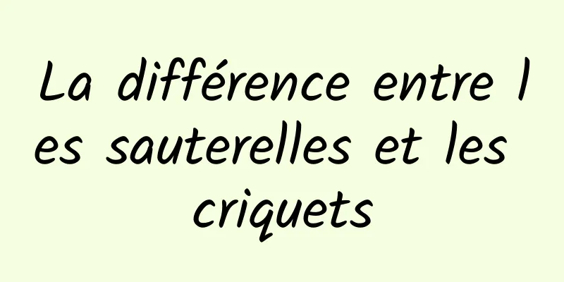 La différence entre les sauterelles et les criquets