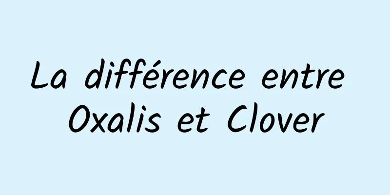 ​La différence entre Oxalis et Clover