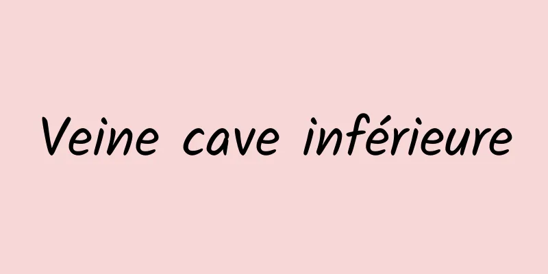 Veine cave inférieure