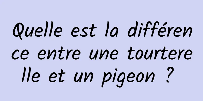 Quelle est la différence entre une tourterelle et un pigeon ? 