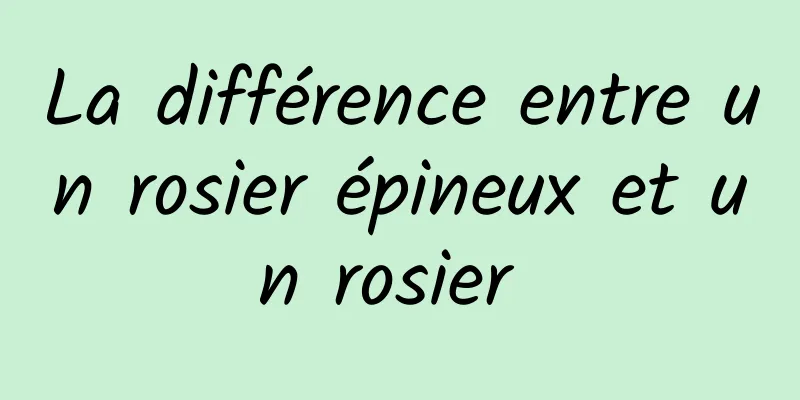 La différence entre un rosier épineux et un rosier 