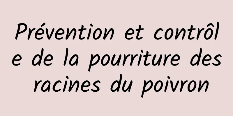 Prévention et contrôle de la pourriture des racines du poivron