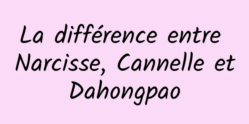 La différence entre Narcisse, Cannelle et Dahongpao 