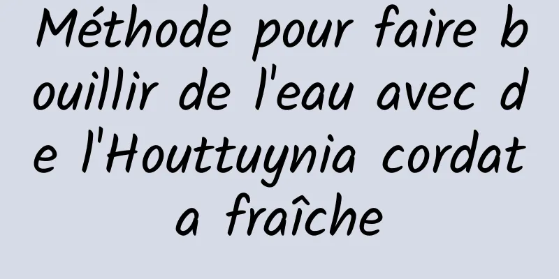 Méthode pour faire bouillir de l'eau avec de l'Houttuynia cordata fraîche