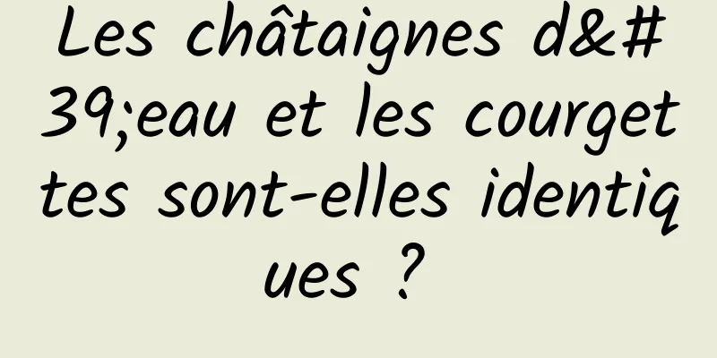 Les châtaignes d'eau et les courgettes sont-elles identiques ? 