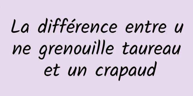 La différence entre une grenouille taureau et un crapaud