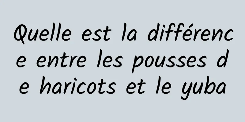 Quelle est la différence entre les pousses de haricots et le yuba