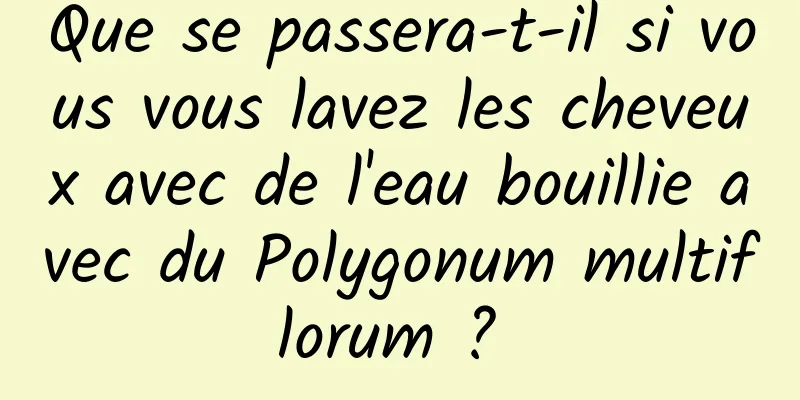 Que se passera-t-il si vous vous lavez les cheveux avec de l'eau bouillie avec du Polygonum multiflorum ? 