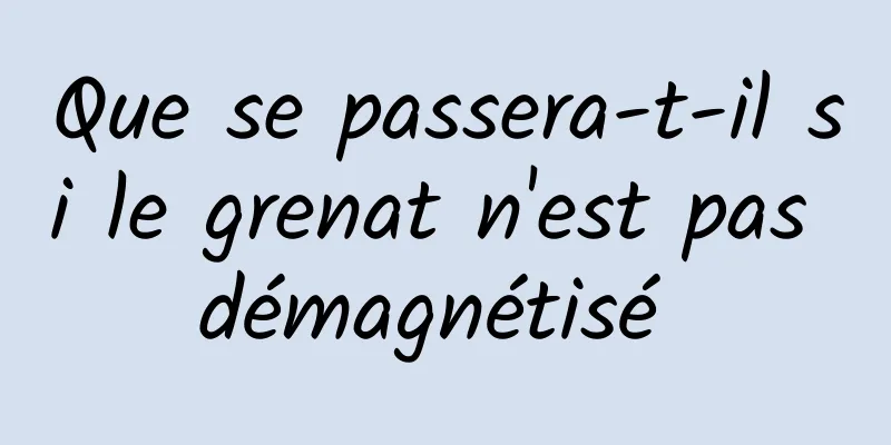 Que se passera-t-il si le grenat n'est pas démagnétisé 