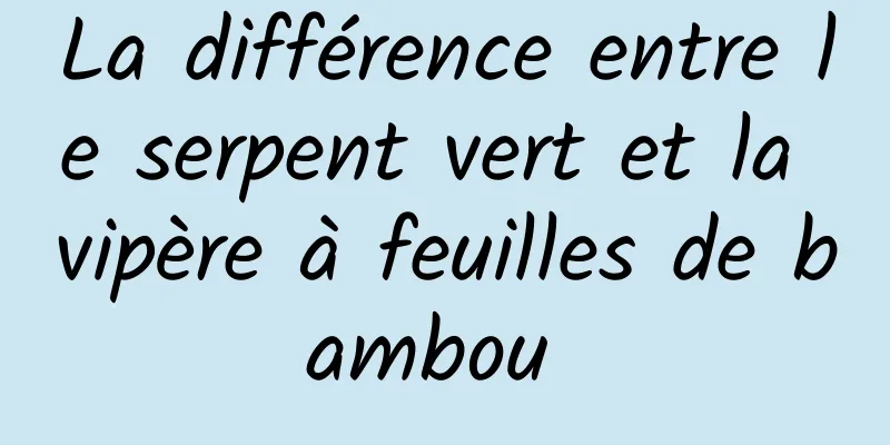 La différence entre le serpent vert et la vipère à feuilles de bambou 